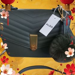 Aldo Green Leather Purse 