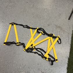 Agility ladder