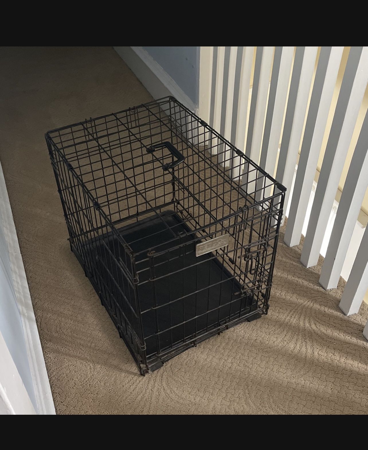 Dog Crate