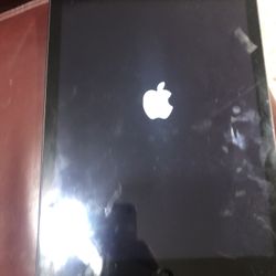 iPad Works Good