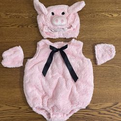 Princess Paradise Toddler Pip the Piglet Costume 12/18