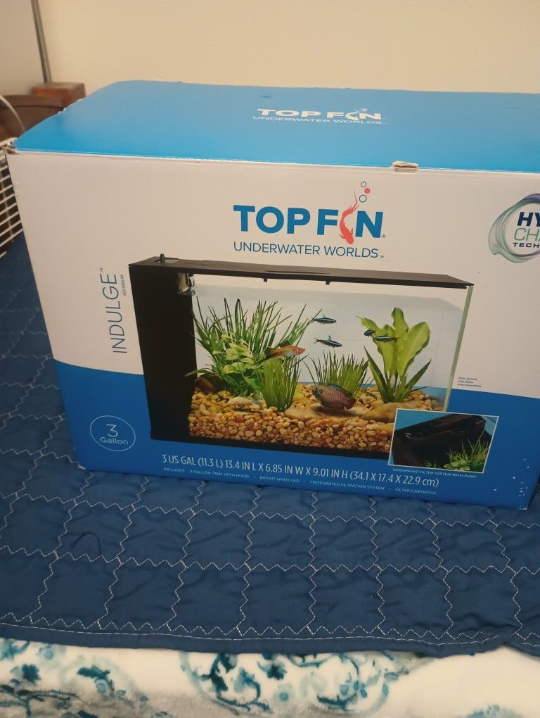 Fish Tank