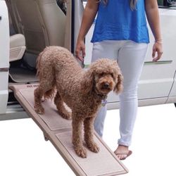 Pet Gear Folding Dog Ramp