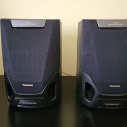 Two Panasonic Speakers