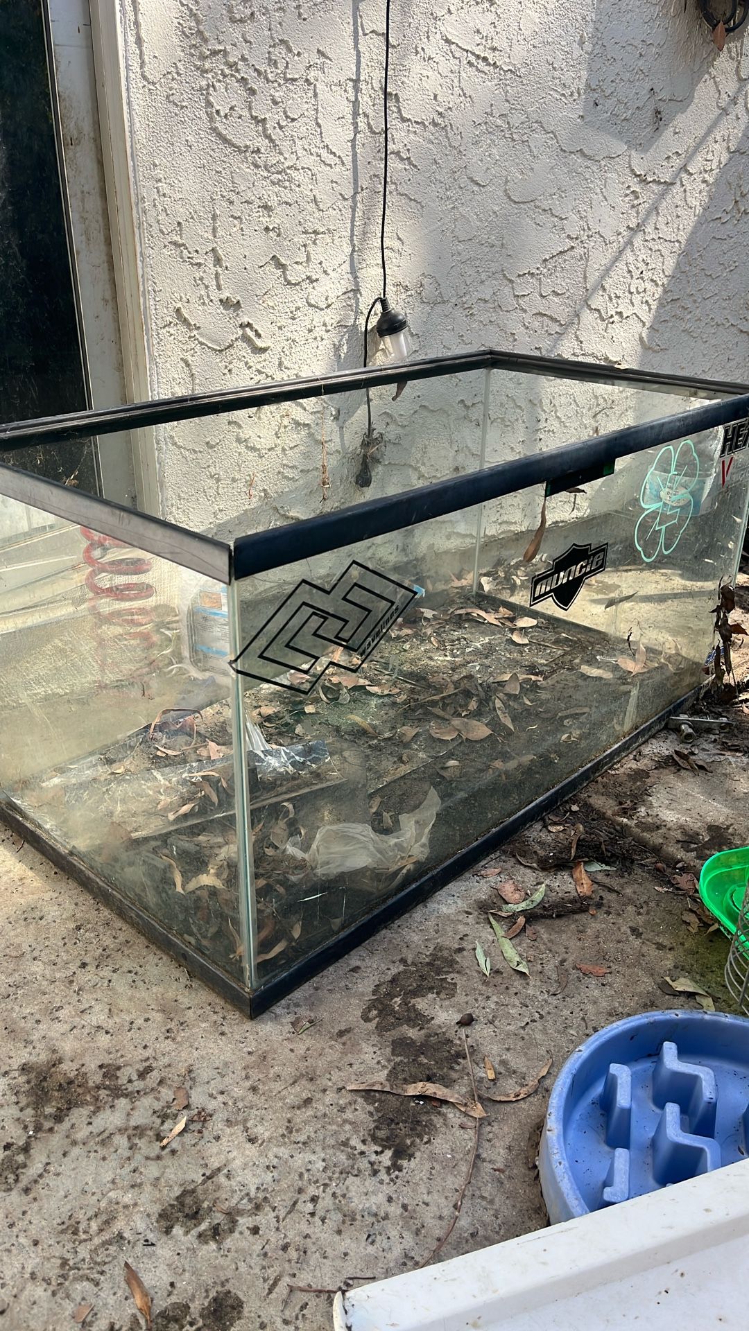 Free Reptile Tank