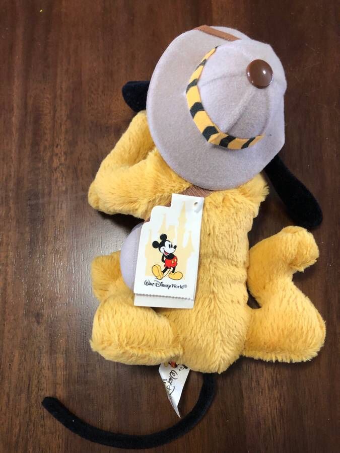 Safari Pluto (Disney)
