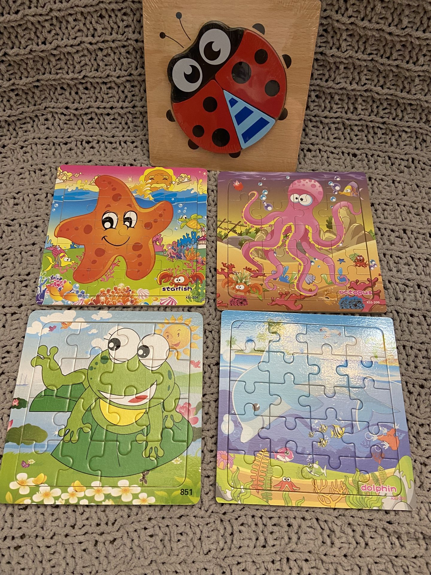 5 Wooden Puzzle’s