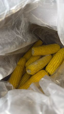 Glutinous corn /Bắp nếp