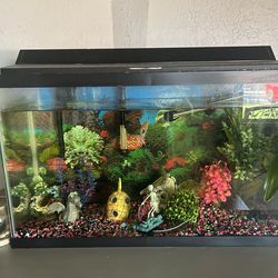Fish tank with fish