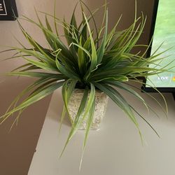 Faux Plant