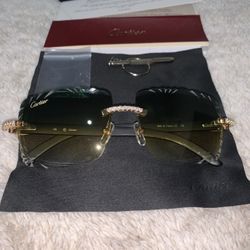 Cartier Buff Horn Sunglasses 