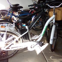 Electronic Bike