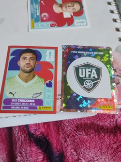 World cup panini stickers