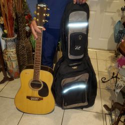 CARLO ROBELLI ACOUSTIC GUITAR AND PROFILE PADDED  BAG