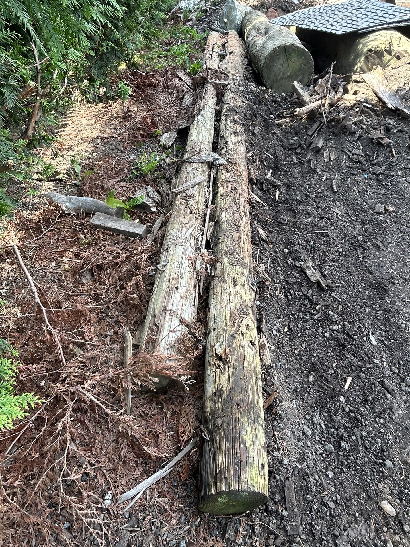 2 Telephone Poles