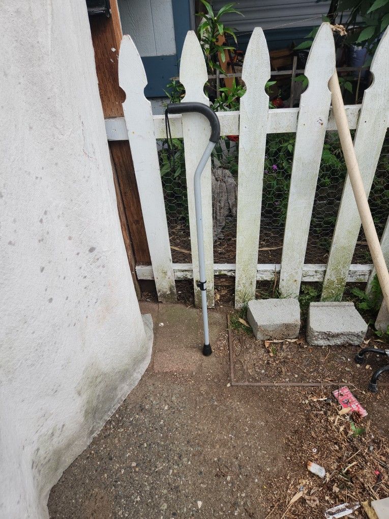 Adjustable Cane