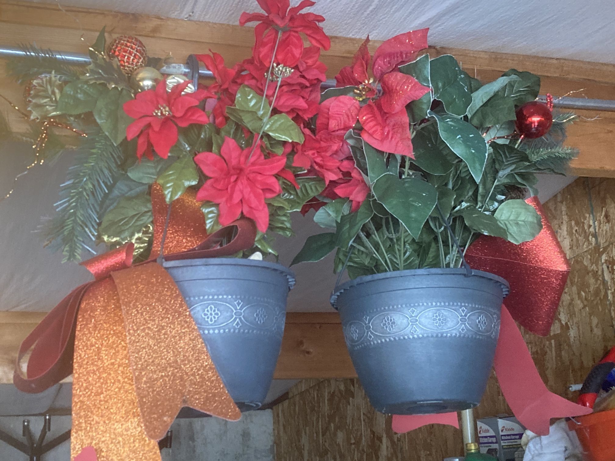 Hanging Xmas Patio Flowers