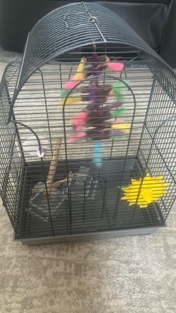 Bird Cage