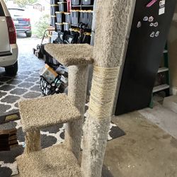 Cat Hotel Free
