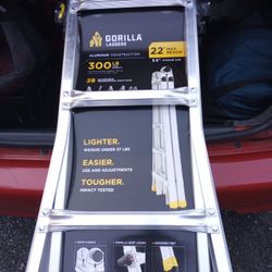 Gorilla 22 Ft Aluminum Ladder