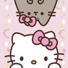 Cat🧋🎀🐈‍⬛