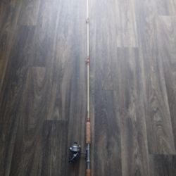 Antique Fishing Rod