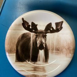 Moose Dishes 16 Piece Set 