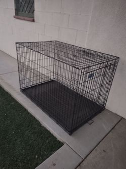 Excellent metal crate large dog. 50x32x32