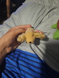 Vintage TY Teenie Beanie Babies Spunky The Cocker Spaniel 5" With Tags 1993