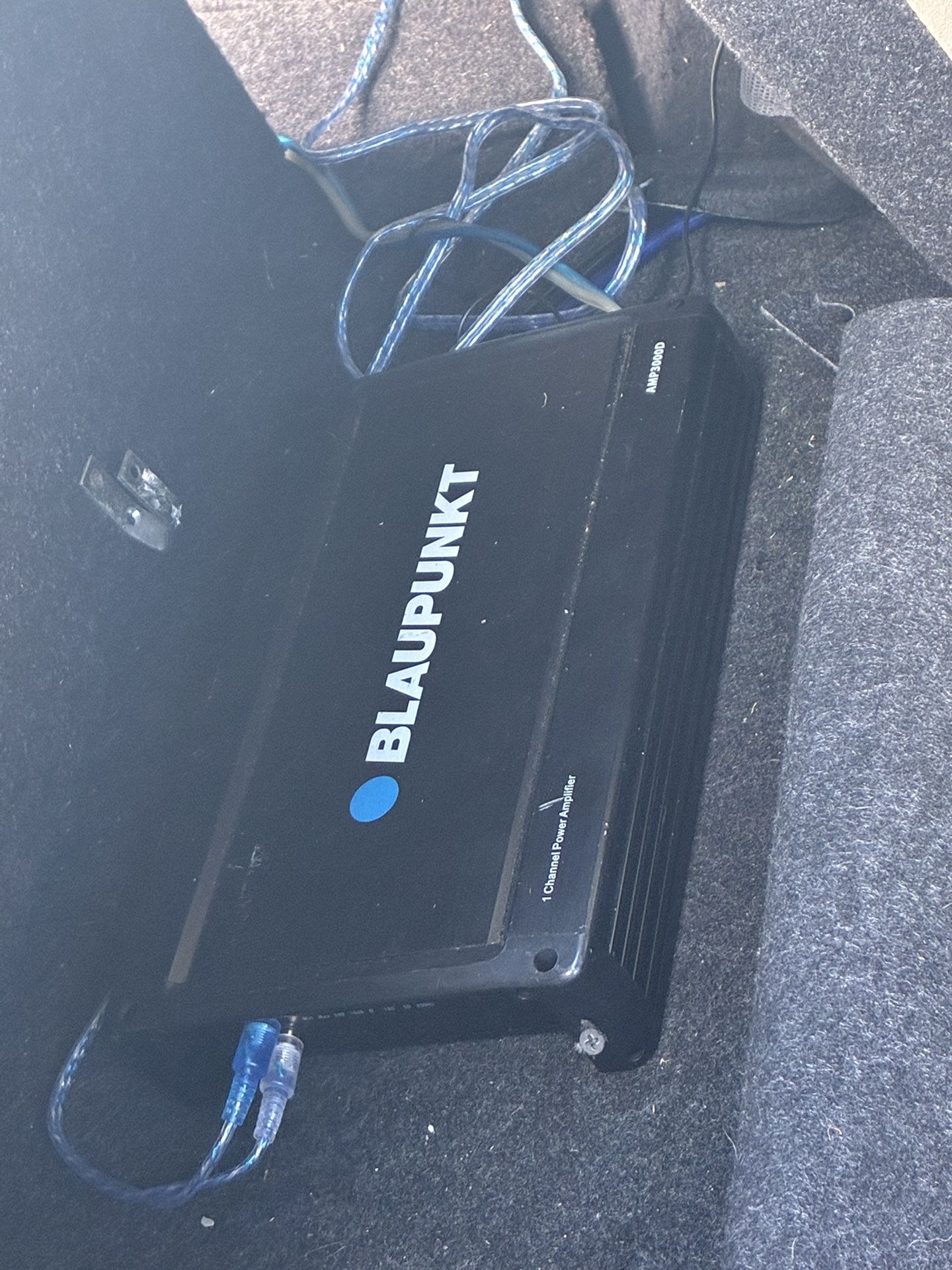 Amp