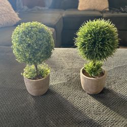 Fake Plants 