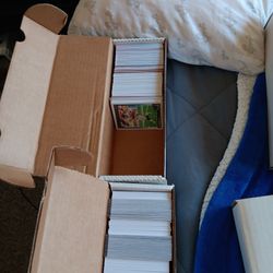 MOSTLY COMMONS (Sports Cards) Good Collection For A Young Kid