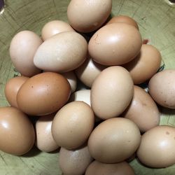  Organic Eggs