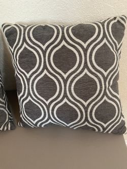 2 Throw Pillows NEW