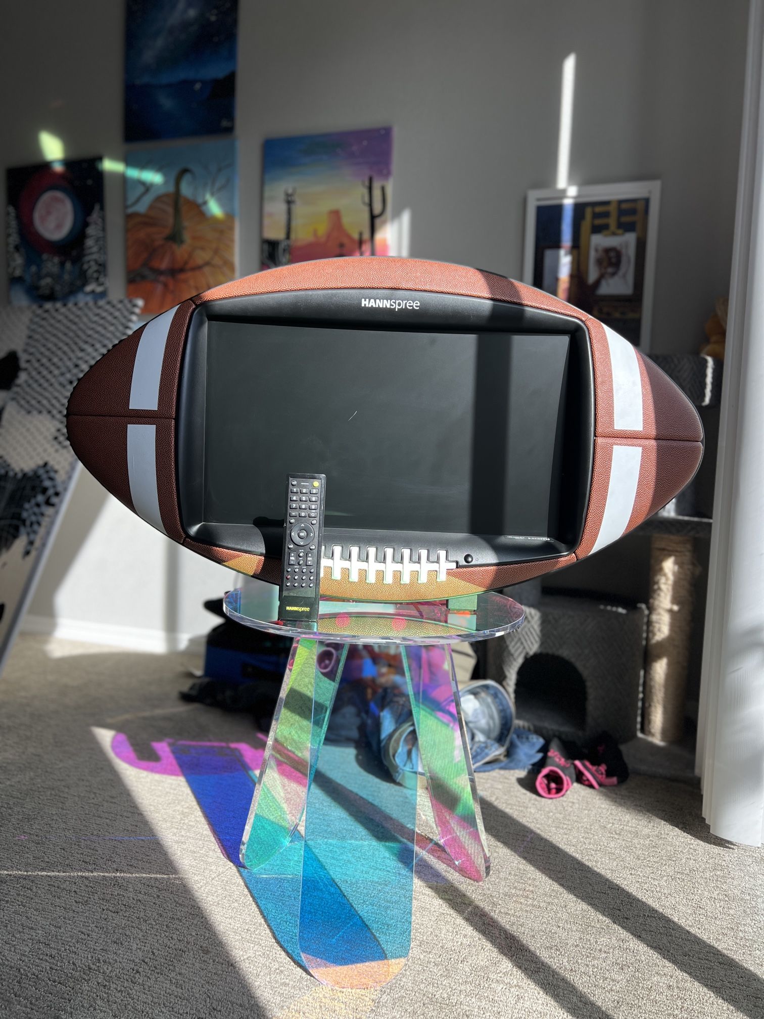 Hannspree FOOTBALL TV - 24" Class (24" Diag.) - LCD TV - 1080p - HDTV 1080p