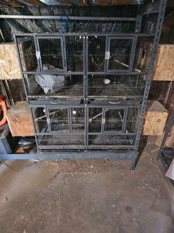Bird Cage