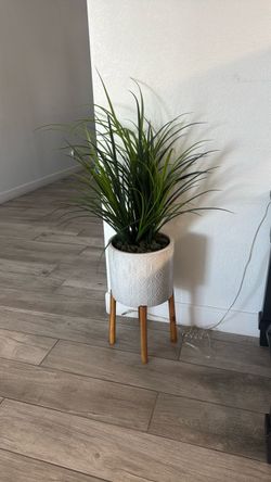 Fake plants  decorative set of 3
