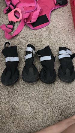 Xl dog shoes
