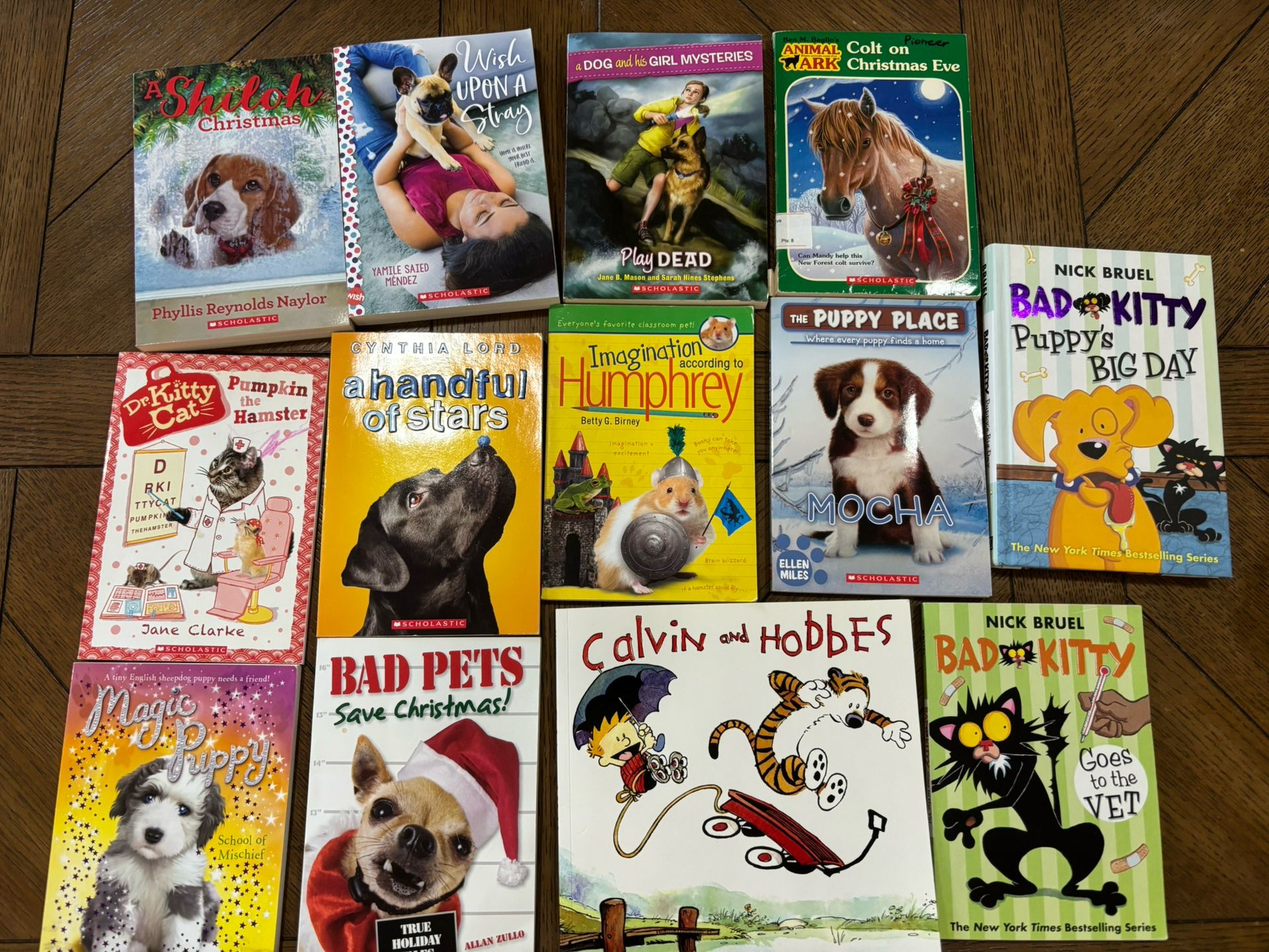 Young children animal books