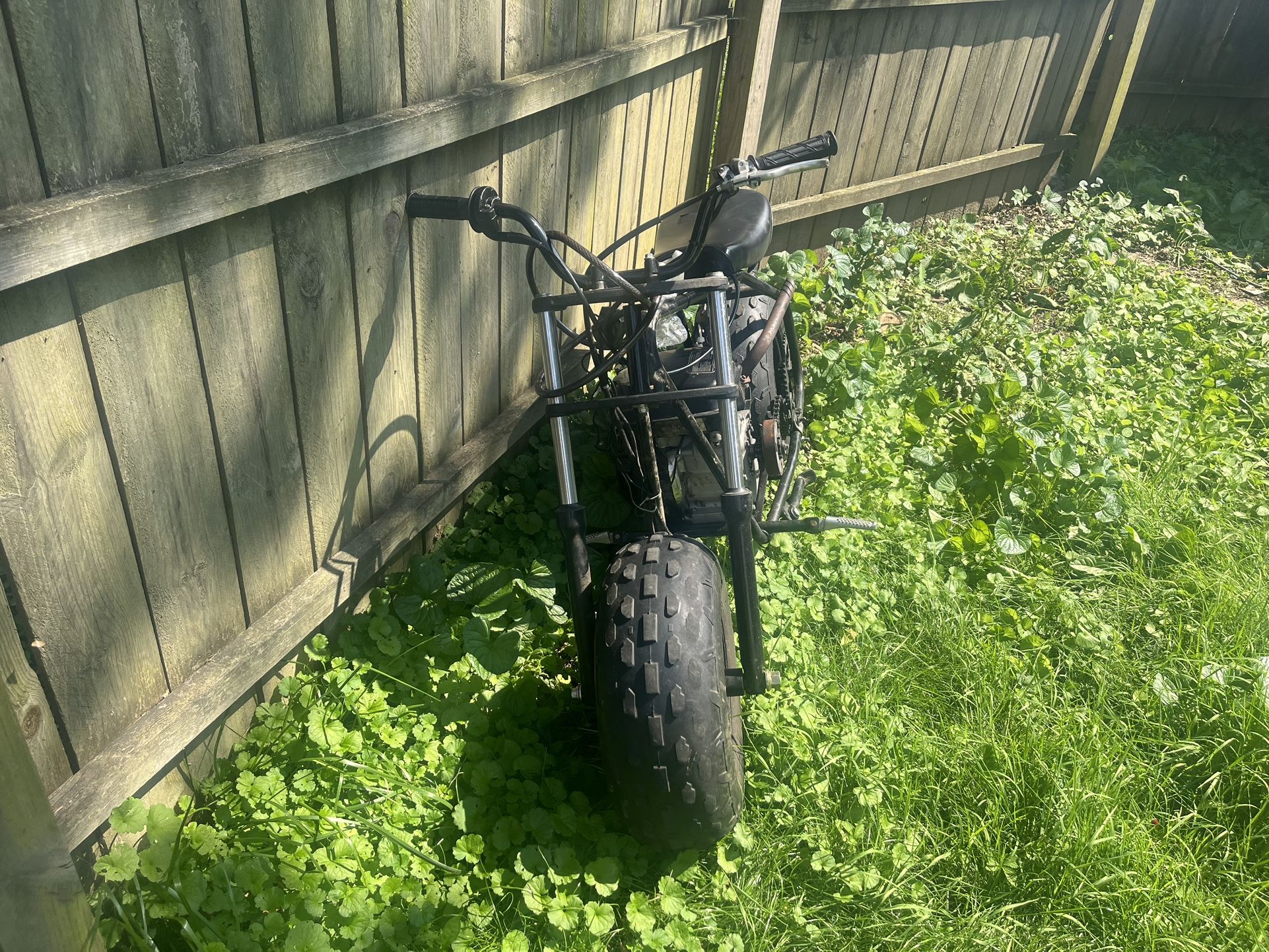 Coleman 200ex