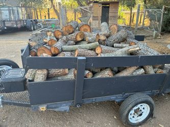 Pine Wood Cut Down 4 Months Ago