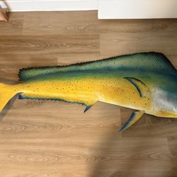Mahi Mahi Fish Mount