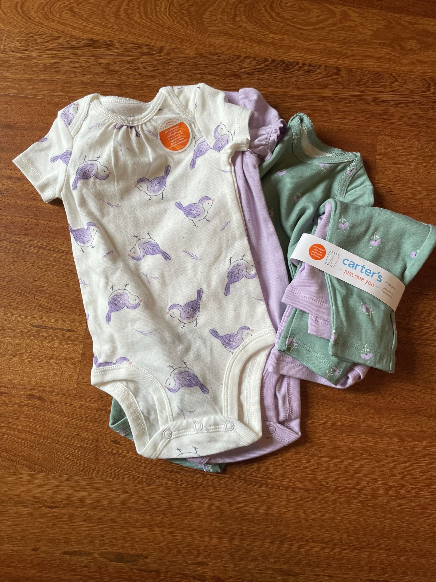 NEW Assorted Baby Girl Clothes Onesies Bodysuits Carters 3M 6M 12M