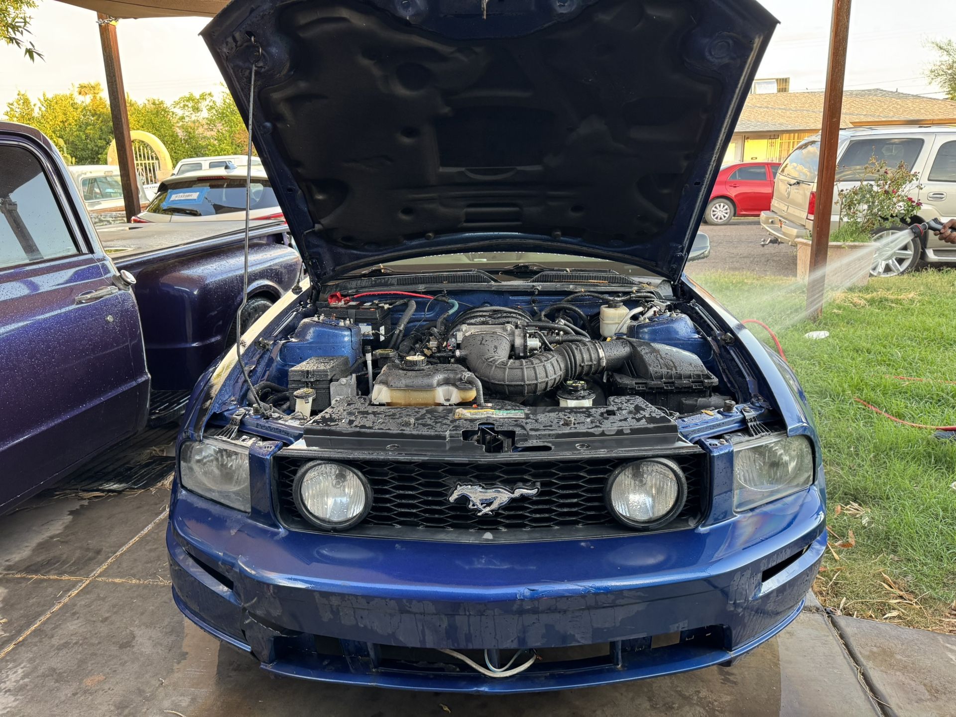 2007 Ford Mustang