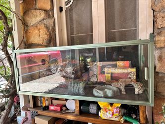 Reptile Enclosure