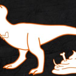 FOSSIL NECKLACES ONE OF A KIND CRYSTAL COPROLITE, VARIED METALS STEAMPUNK 