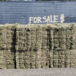Premium 2nd Cut T/A Hay