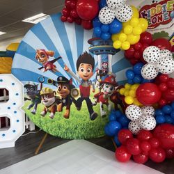 Paw Patrol Set Up