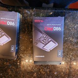  2x: Samsung 980 PRO 1TB