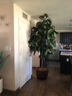 Plant artificial 8 or 9 feet